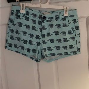 BeBop turquoise shorts with navy blue elephants